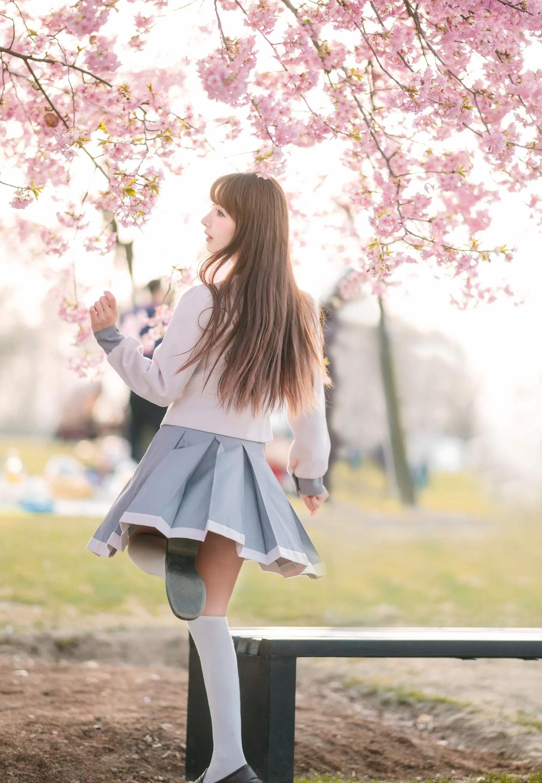 紫氯氯 – NO.03 樱花下的JK少女 [19P]插图9